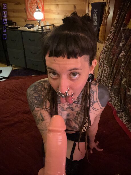 Iam Cmapd Profilbild