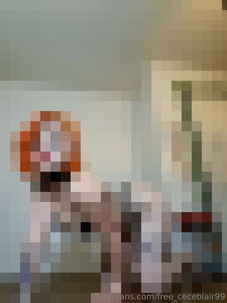 Free Ceceblair99 ヌードモデル 写真