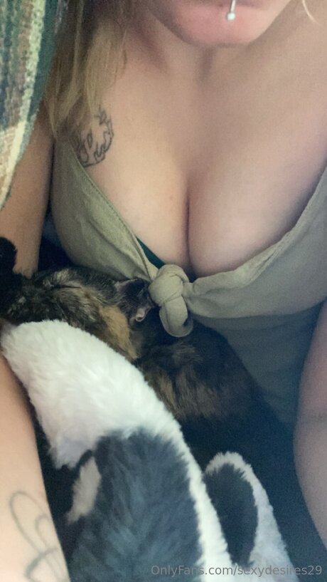 Sexydesires29 トップ女優 写真