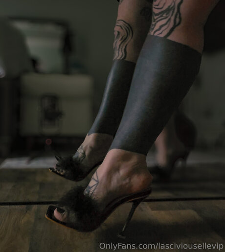 Lasciviousellevip ポルノスター 写真