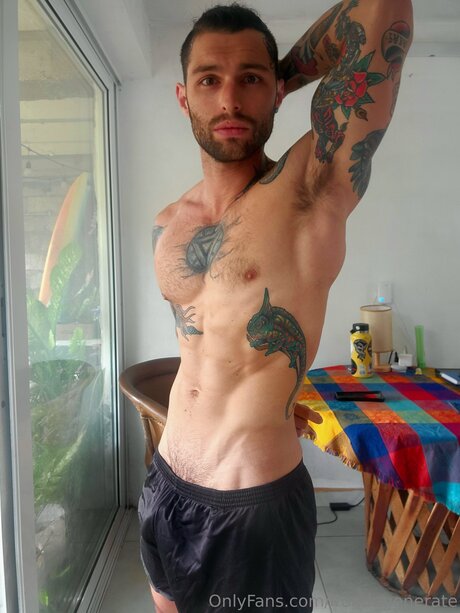 ブッシュ・オンリーファンズ 限定 写真