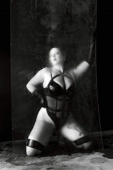 ブルネットの猫OnlyFans ベスト 写真