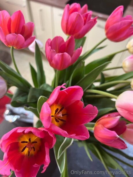 Freyadollts 美しい女優 アーカイブ