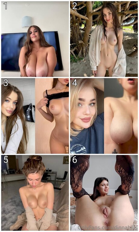 Dinnahills ホットモデル 画像