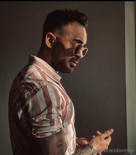 Brandonmor HDスター 写真