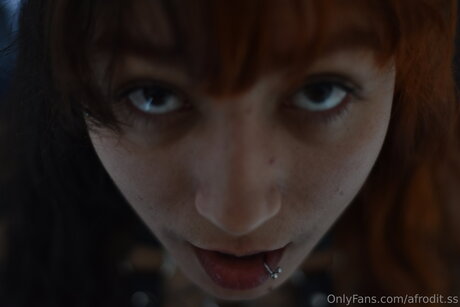 シックオンリーファン ベスト 写真