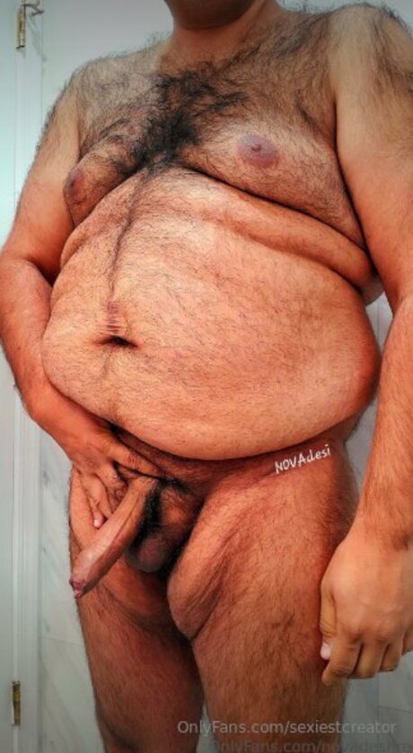 家族限定ファン 可愛い ギャラリー