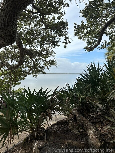 Softgothglitter トップモデル アーカイブ