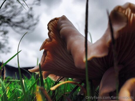 曲線美のランジェリーOnlyFans ヌード アーカイブ