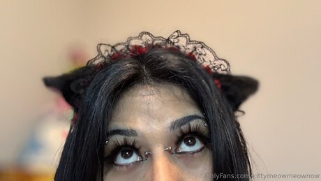 Kittymeowmeownow かわいいスター ギャラリー