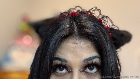 Kittymeowmeownow 完璧なスター ギャラリー