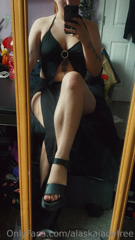 Alaskajadefree HDモデル 写真