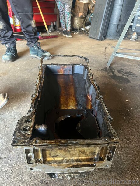 Xxgoldilocksxx HDスター 写真