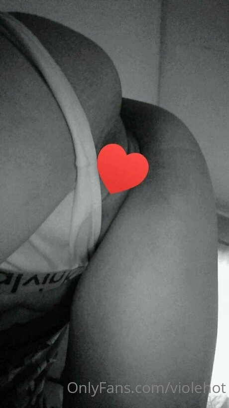 Violehot 完璧なモデル 画像