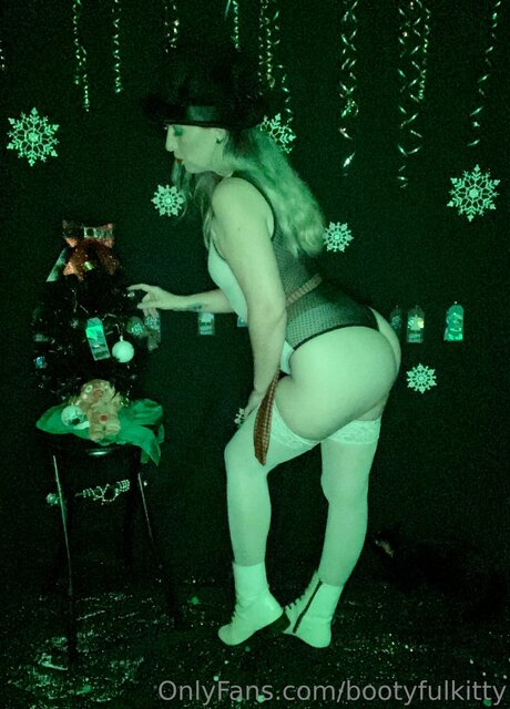 Bootyfulkitty 高品質のポルノスター アーカイブ