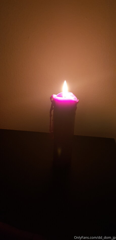 Dd Dom Jp アートスター ギャラリー