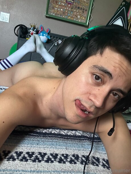 Buddycreamer 美しいスター 写真