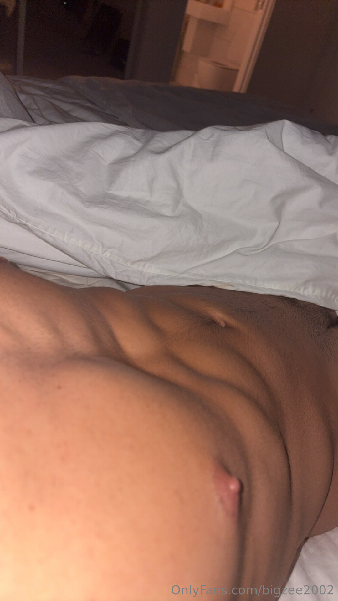 Bigzee2002 トップモデル アーカイブ