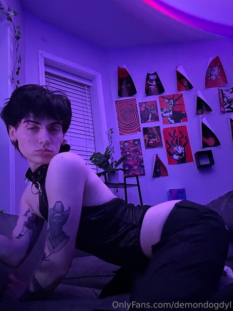 Demondogdyl 限定スター 写真