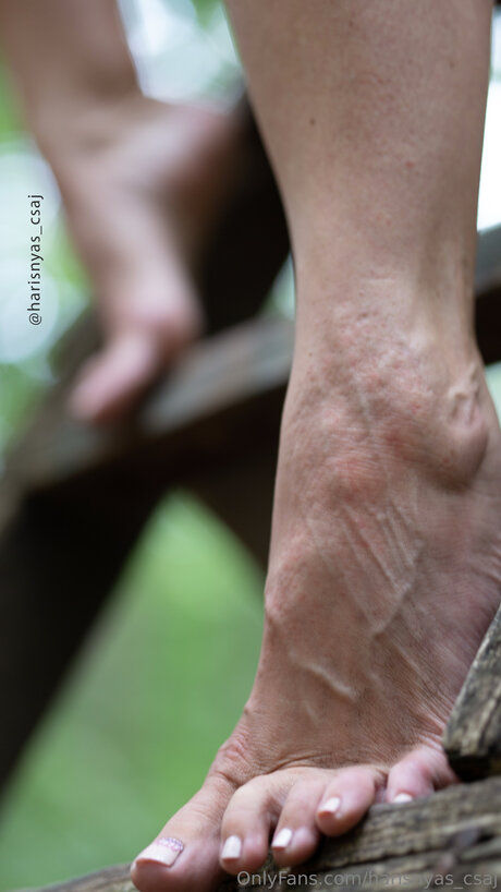 Harisnyas Csaj スターセックス 画像