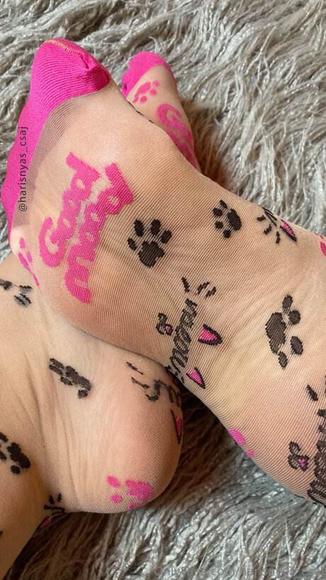 Harisnyas Csaj アートスター ギャラリー