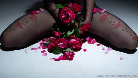 Harisnyas Csaj ポルノスター パーフェクト ギャラリー