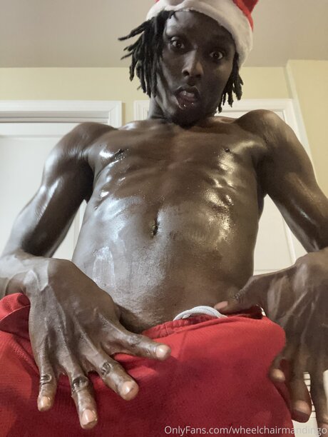 Wheelchairmandingo 高品質スター 写真