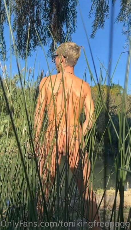 Tonikingfreepage 高品質のスター 写真