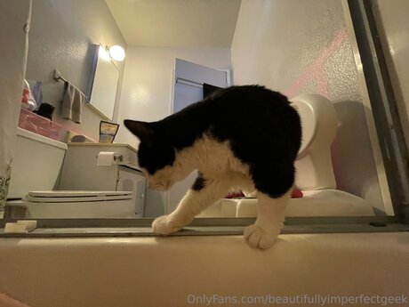 Beautifullyimperfectgeek ヌードモデル アーカイブ