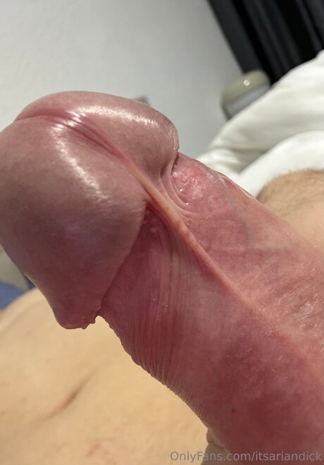 ヌード教師オンリーファンズ 美しいヌード ギャラリー