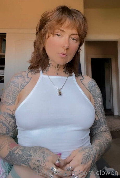 Sabyra 独占モデル 画像