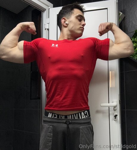 Stildgold ヌードモデル 画像