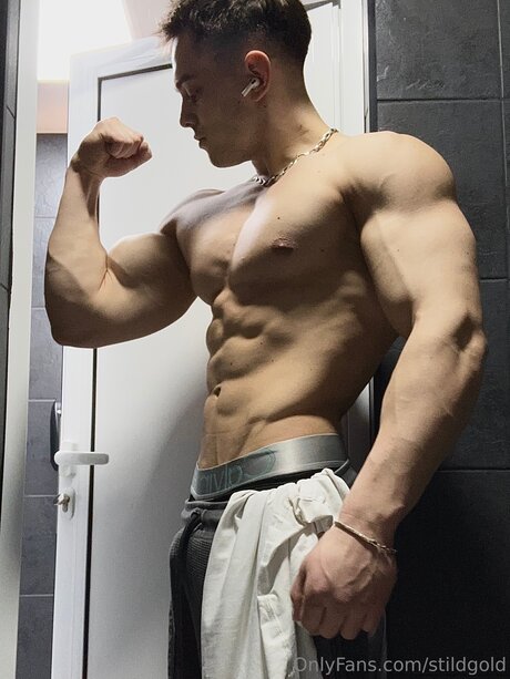 Stildgold HDモデル ギャラリー