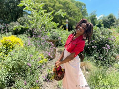 Carpedaem 無料スター 写真