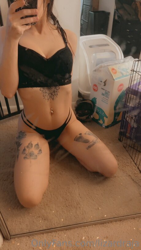 Lizardraja アダルトモデル 写真