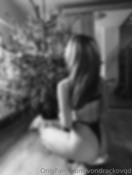 Vondrackovqd 限定スター 写真