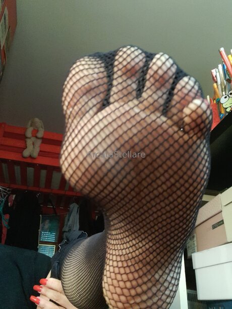 シックオンリーファン 限定 写真