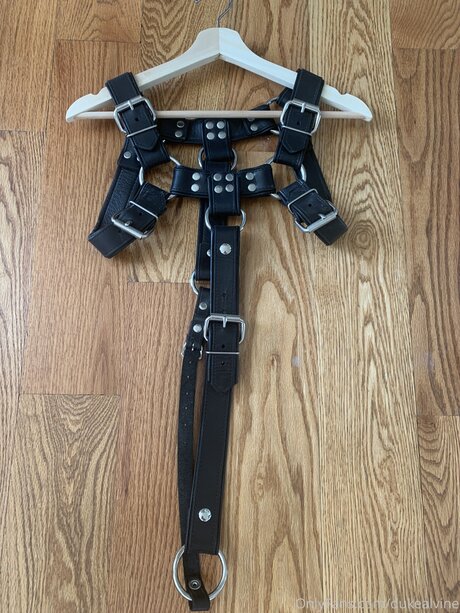 Dukealvine ポルノスター 写真