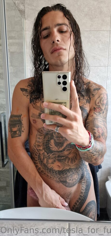 Tesla For Fun 美しいスター 写真