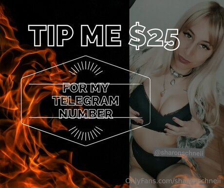 Sharonschneii Profilbild