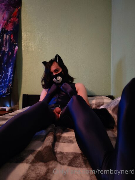 ブッシュ・オンリーファンズ 素敵 写真