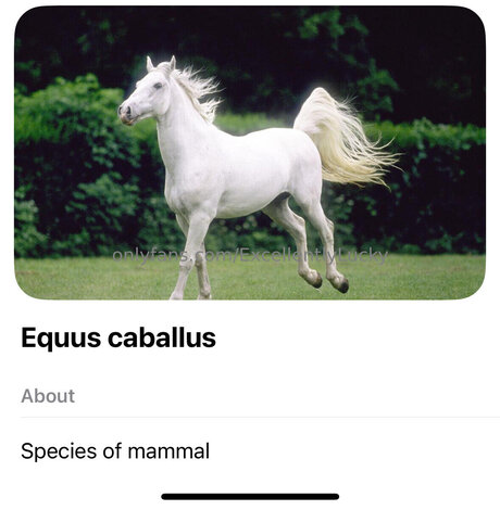 Excellentlylucky 無料スター 写真