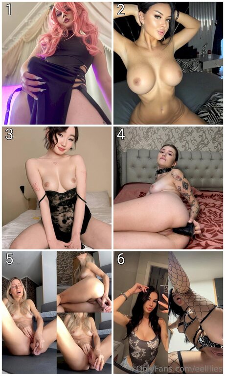 ブラジルの猫オンリーファンズ アートxxx 写真