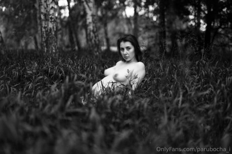 イスラム教徒のオンリーファンズ ポルノ 画像