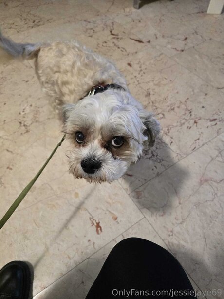 Jessiejaye69 美しいポルノスター アーカイブ