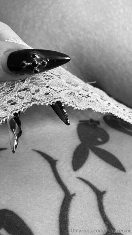 Chartreuxx ホットスター 画像