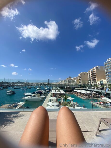 Chartreuxx 高品質スター アーカイブ