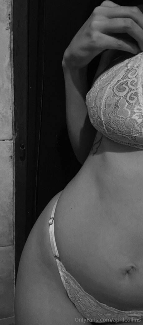 Aprilcollins 高品質のポルノスター 写真