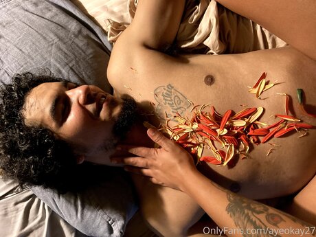 Ayeokay27 アダルト女優 写真