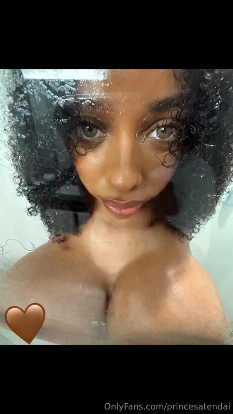 Princesatendai 美しいモデル 画像